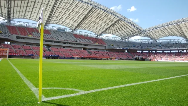 サッカーフィールドの芝